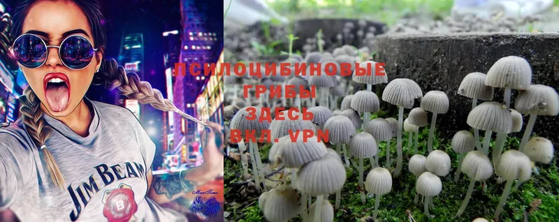 Псилоцибиновые грибы MAGIC MUSHROOMS  где продают   Сим 