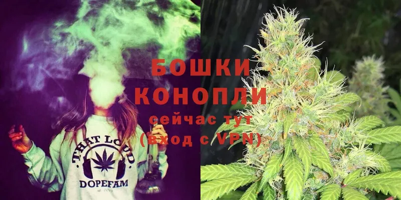 блэк спрут ссылка  Сим  Бошки марихуана SATIVA & INDICA 